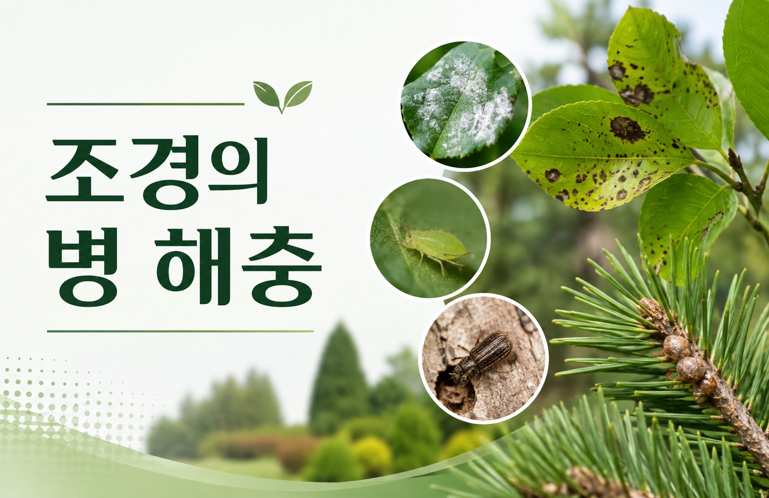 교육과정사진